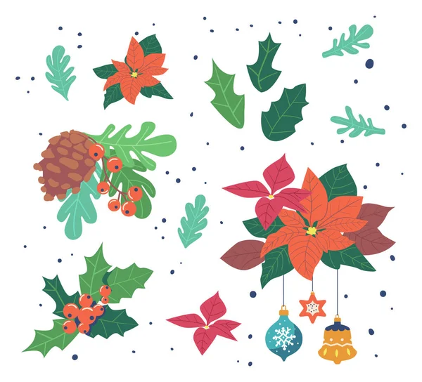 Winterkollektion von Beeren und Blättern. Weihnachtsstern, Stechpalme, Kiefernzapfen und Ebereschenzweige, Beere. Weihnachtliche Elemente — Stockvektor
