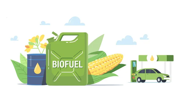 Eco Benzina Concetto ecologico. Tanica biocarburante con piante, foglie verdi, fiori e mais con canna di combustibile — Vettoriale Stock