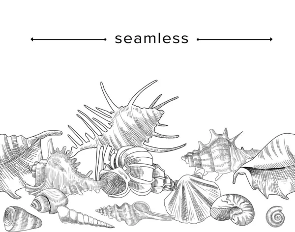 바다 조개와 함께 씨가 없는 패턴을 스케치하라, 하얀 배경에 곰과 수정 고둥. 해양 조개의 확대 된 설계 — 스톡 벡터