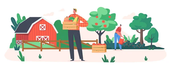 Los jardineros recogen frutas y verduras, los agricultores que trabajan en cultivos de jardín o huerta. Producción agrícola ecológica — Archivo Imágenes Vectoriales