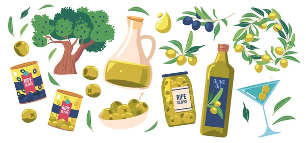 Set Olivenprodukte, Zweige, Baum und Öl in Krug und Flasche. Grüne oder schwarze Oliven und Öl, reife Früchte, natürliche Lebensmittel — Stockvektor