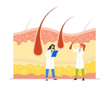 Tiny Trichologist Karakterleri Büyük Saç Folikülleri ve Kafa Derisi Sağlığı, Doktor Dermatolog ya da Kozmetolog