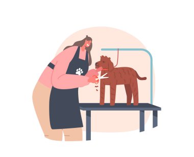 Kuaför Kadın Karakteri Bakım Servisi, Salon 'da Makasla Su Köpeği Kesme, Evcil Hayvan