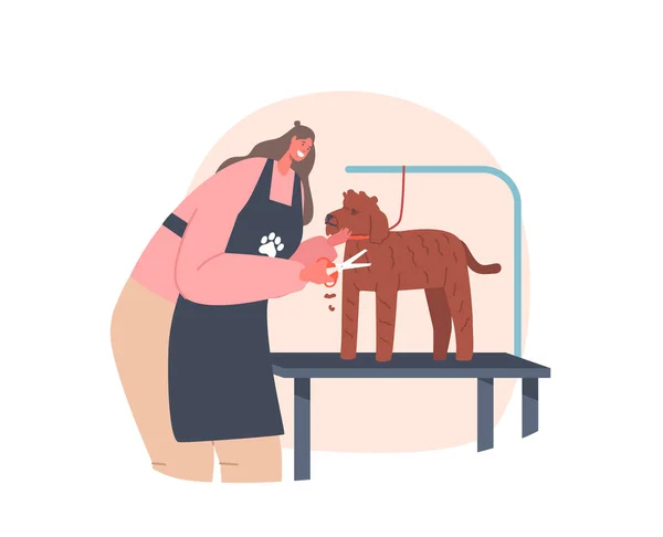 Hairdreer Female Character Provides Grooming Service, Cutting Puddle Dog with Scissors in Salon, Domestic Animal — 스톡 벡터