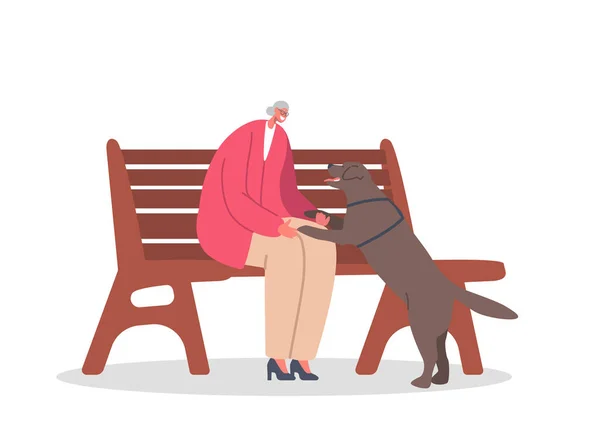 Abuela sentada en el banco en Park Hold Dog Paws aislada sobre fondo blanco. Personaje Senior Sparetime con Animal — Vector de stock