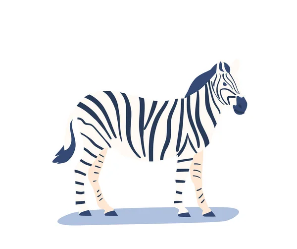 Zebra, afrikanisches Wildtier isoliert auf weißem Hintergrund. Pferd mit Streifenmuster auf der Haut, Pflanzenfresser — Stockvektor