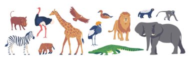 Afrika Hayvanlar ve Kuşlar, Savannah Tacı Turna, Zebra, Aslan ve Yaban Domuzu, Zürafa, Ördek, Bal Porsuğu, Devekuşu ve Sırtlan