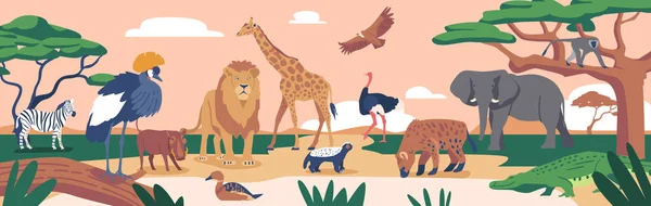 Animali africani e uccelli nel paesaggio di Savannah. Gru incoronata, zebra, leone e cinghiale, tasso di giraffa, anatra e miele — Vettoriale Stock