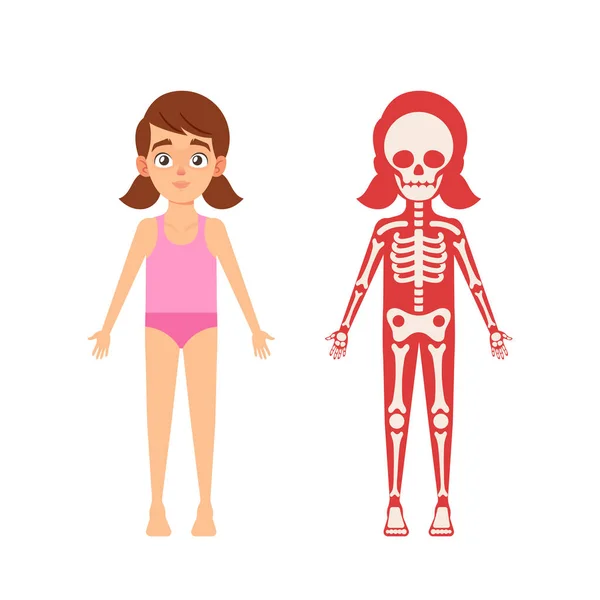 Children Anatomy Concept. Cute Girl Skeleton, Human Body Systems Educational Kids Anatomy Infographics Chart — стоковый вектор