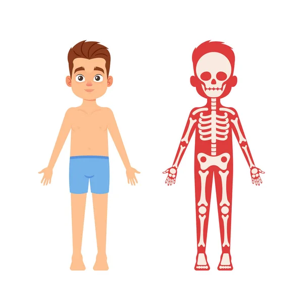 Anatomia, koncepcja medycyny dla dzieci. Cute Boy szkielet, ludzkie systemy ciała Educational Anatomy Infografika — Wektor stockowy