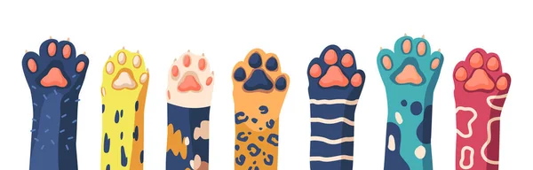 Fila de pata de gato, Colección de varias patas de gatito lindo, Pie de animal doméstico aislado sobre fondo blanco. Elementos gráficos — Vector de stock