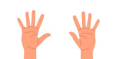 İnsan Elleri, Boş Avuçlar, Çocuklar için Parmak Eğitimi. Küçük, Yüzük, Orta, İşaret ve Parmak Parmaklar. Kafkas Karakteri Erkek veya Kadın Vücut Parçaları Önü Görünümü. Çizgi film Vektör İllüstrasyonu