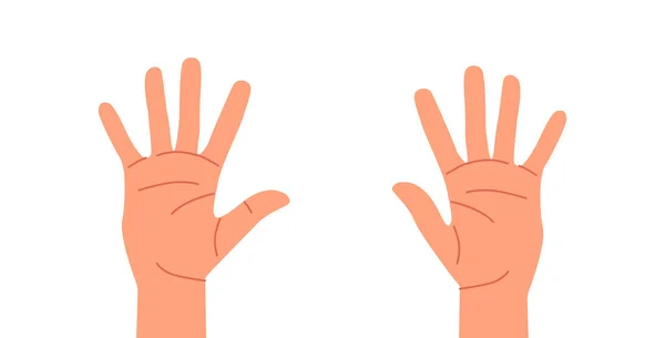 Human Hands Open Empty Palms Fingers Education Kids Little Ring — Stock Vector