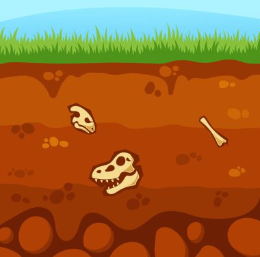 Sürüngen fosilleriyle Üst Yeraltı Yeraltı Katmanı Dinozor İskelet Kafatası ve Kemikleri ile Toprak. Organik Tarih Öncesi Kalıntılar ve Jura Dönemi Hayvanlarının karışımı. Çizgi film Vektör İllüstrasyonu