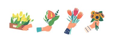 Erkek Elleri Çiçek Buketleri Spatthiphyllum, Ayçiçeği, Beyaz Arkaplanda İzole Laleler. Tatil için hediye teslimatı, Erkek Çiçek Veriyor, Aşk, Aşk Hediyesi. Çizgi film Vektör İllüstrasyonu