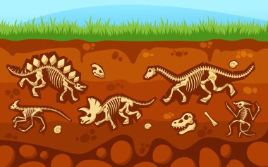 Dinozorlar Yeraltı Çapraz Bölümü Görünümü. Gömülü Fosiller, Salyangoz Kabukları, Paleontoloji Bulguları. Tarih öncesi sürüngenlerin kemikleri ve toprak tabakasındaki ammonitler. Çizgi film Vektör İllüstrasyonu