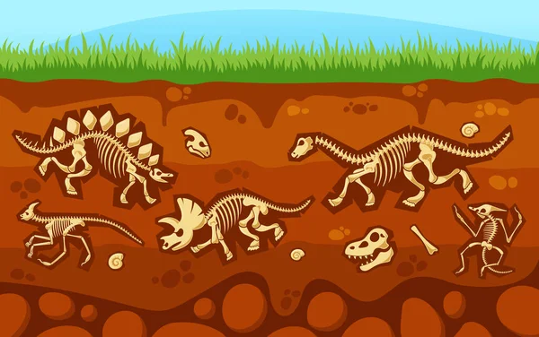 恐龙骷髅地下横断面视图 埋藏的化石 蜗牛壳 古生物学发现 史前爬行动物的骨骼和对土壤背景的监测 卡通矢量图解 — 图库矢量图片