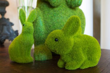 Paskalya 'da çim tavşanı görüntüsünü yakından çek..