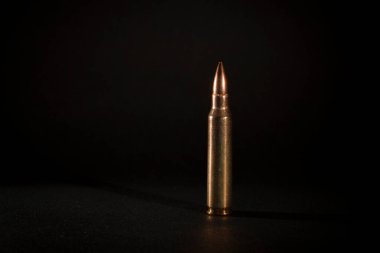 223 tüfek fişeği dolu metal ceket.