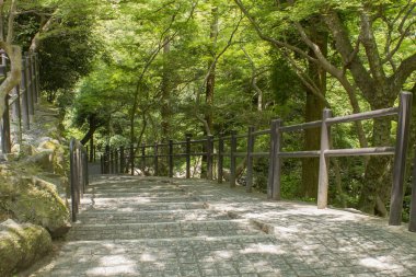 İnsanlar merdivenleri ormana çevirdiler.