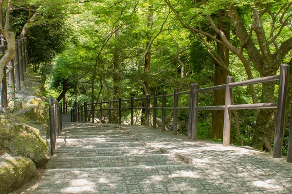 İnsanlar merdivenleri ormana çevirdiler.