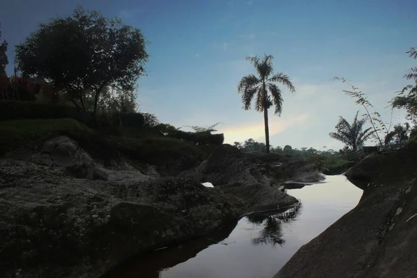 Ricefield Cikalong Wetan Κήπο Ρυζιού Είναι Πλούσια Και Πράσινη — Φωτογραφία Αρχείου