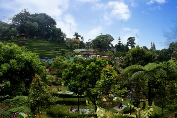 Batı Bandosu Şubat 2022 Doğal Turist Çimi Yukarıdan Parkın Manzarası — Stok fotoğraf