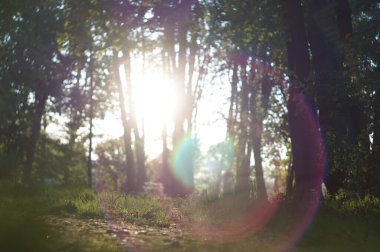 Taras Shevchenko Parkı 'nın manzarası çok güzel..