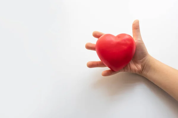 Heart in father son hands.Organ donation and insurance concept. World heart health concept. World organ donation day. Concept of healthy heart for healthy life. philanthropy idea concept.