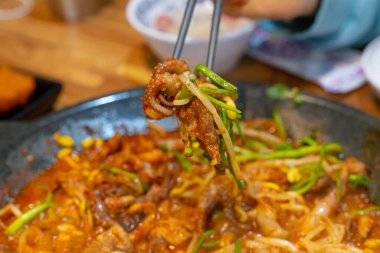 Kore usulü bebek ahtapot biftek ve fasulye filizi ile kızartılmış Kore baharatlı yemekleri, bir restoranda çekilmiş.