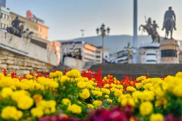 Colorful Blooms Arranged Concrete Beds Either Side Bridge Skopje Main — Stock Photo, Image