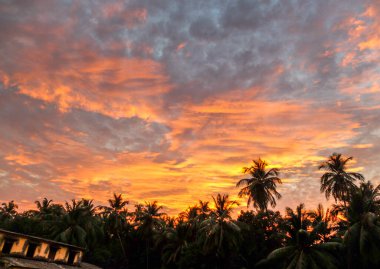 Güneş battıktan kısa bir süre sonra güzel bulut katmanları ve parlak gökyüzü palmiye ağaçlarının siluetleri üzerindeydi..