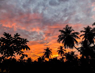 Güneş battıktan kısa bir süre sonra güzel bulut katmanları ve parlak gökyüzü palmiye ağaçlarının siluetleri üzerindeydi..