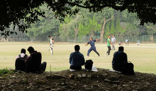 何人かの男性はレクリエーショングラウンドで木の木陰の下でシルエットに座ってクリケットをしている人々を見ています — ストック写真