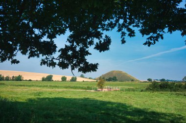 İngiltere 'nin güneybatısındaki ünlü tarihi eser, ön planda ağaçların gölgesi var..
