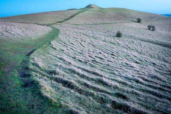 Uzakta Milk Hill Yanından Kışın Sonlarına Doğru Çok Yıpranmış Bir — Stok fotoğraf