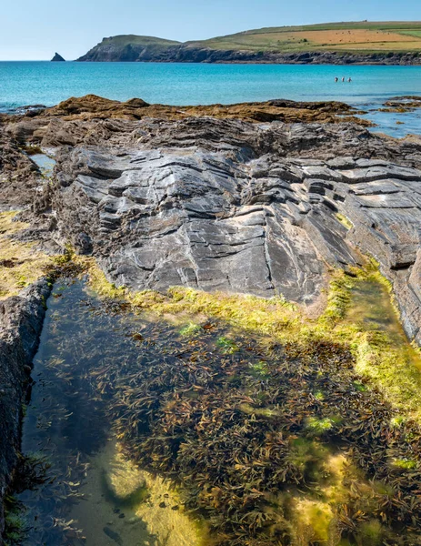 五彩缤纷的大海 被仲夏午后的太阳加热 漂浮在温暖的 静止不动的大西洋海水中 在涨潮时聚集在那里 — 图库照片