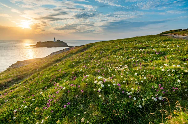 Vibrant wild flowers and heather,with lush green grass,covering the promontory of headland,north Cornish coast in mid summer,warm colours,calm Atlantic ocean and sun close to the horizon,pre dusk,