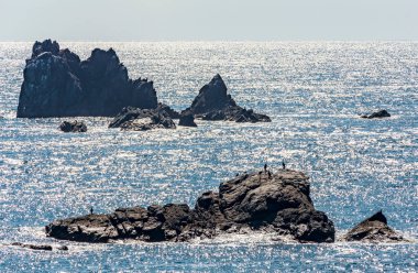 Atlantik 'in sakin yüzeyinden parlayan güneş ışığı, güzel, açık, güneşli yaz havası, uzak kayalarda güneşlenen deniz kuşları, İngiliz anakarasının en güney noktası..