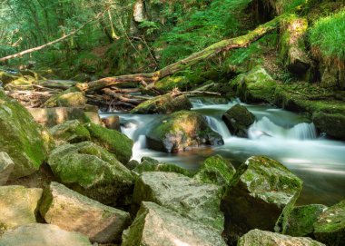Güzel, huzurlu, sıcak, güneşli bir günde, öğleden sonranın sonlarında, güneş ışığı yukarıdaki yemyeşil orman gölgesinde parıldıyor, kayaları aydınlatıyor ve temiz, taze, nehir suyu akıyor..