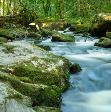Güzel, huzurlu, sıcak, güneşli bir günde, öğleden sonranın sonlarında, güneş ışığı yukarıdaki yemyeşil orman gölgesinde parıldıyor, kayaları aydınlatıyor ve temiz, taze, nehir suyu akıyor..