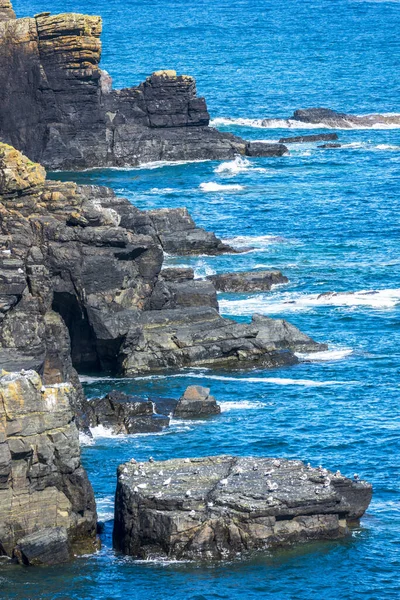 Fine Clear Sunny Summer Weather Grassy Flower Covered Clifftops Calm — Stock Photo, Image