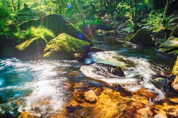 Populär Skönhet Plats Slutet Eftermiddagen Sommar Solljus Skiner Genom Taket — Stockfoto