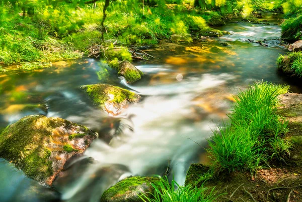 Populär Skönhet Plats Slutet Eftermiddagen Sommar Solljus Skiner Genom Taket — Stockfoto