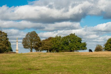 Doğal Güzelliğin Bir Alanı anıtı olan anıt, Güney Afrika 'daki çatışmada ağaçlar ve dramatik gökyüzü arasında ölen 148 yerel adamı hatırlamak için 1904 yılında dikildi..