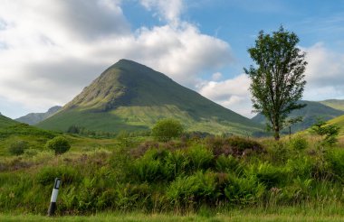 Beautiful view on a summer day with blue sky and cumulus clouds,viewed from the valley roadside.