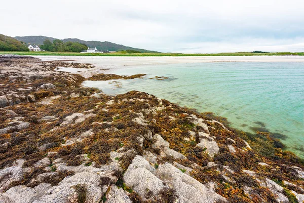 美丽的偏远荒凉的海滩 仲夏的时候 在苏格兰西海岸 苏格兰高地的边缘 清澈平静的大海 远处的白色小屋 黄昏的时候 低潮的时候 坚硬的岩石 — 图库照片