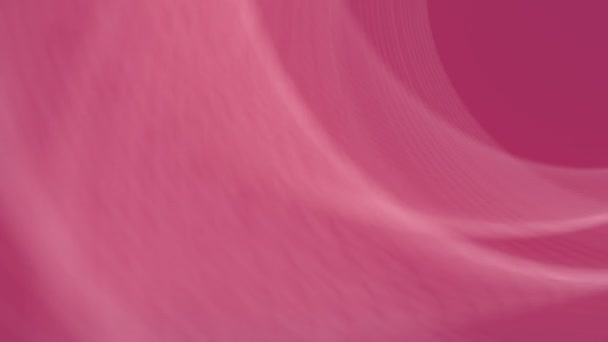 Wavy swirl of white lines on a pink background. 3d rendering loop animation HD — Stock video