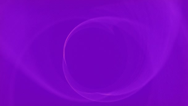 Endless wavy swirl of pink lines on violet background. 3d render loop animation — Stock Video