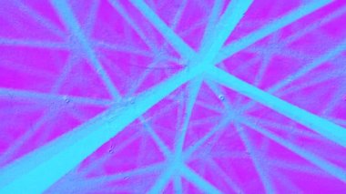 Chaotic geometric pattern of moving colored lines. Modern trendy design. Contemporary art. Digital seamless loop animation. 3d rendering. 4K, Ultra HD resolution